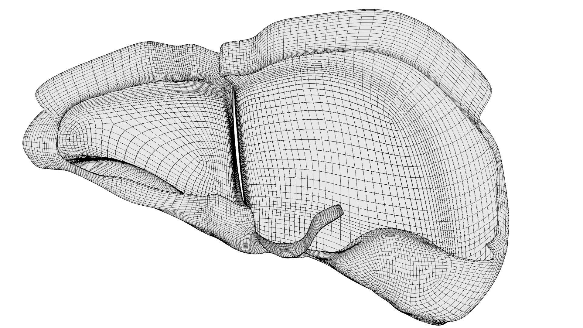 Human liver with segments 3D https://p.turbosquid.com/ts-thumb/JC/VneIdH/vZ/2peritoneum_wireframe_back/png/1640374676/1920x1080/fit_q87/6210b55e5cd68b3bda3a0cbb7cf5392567b5d5b0/2peritoneum_wireframe_back.jpg