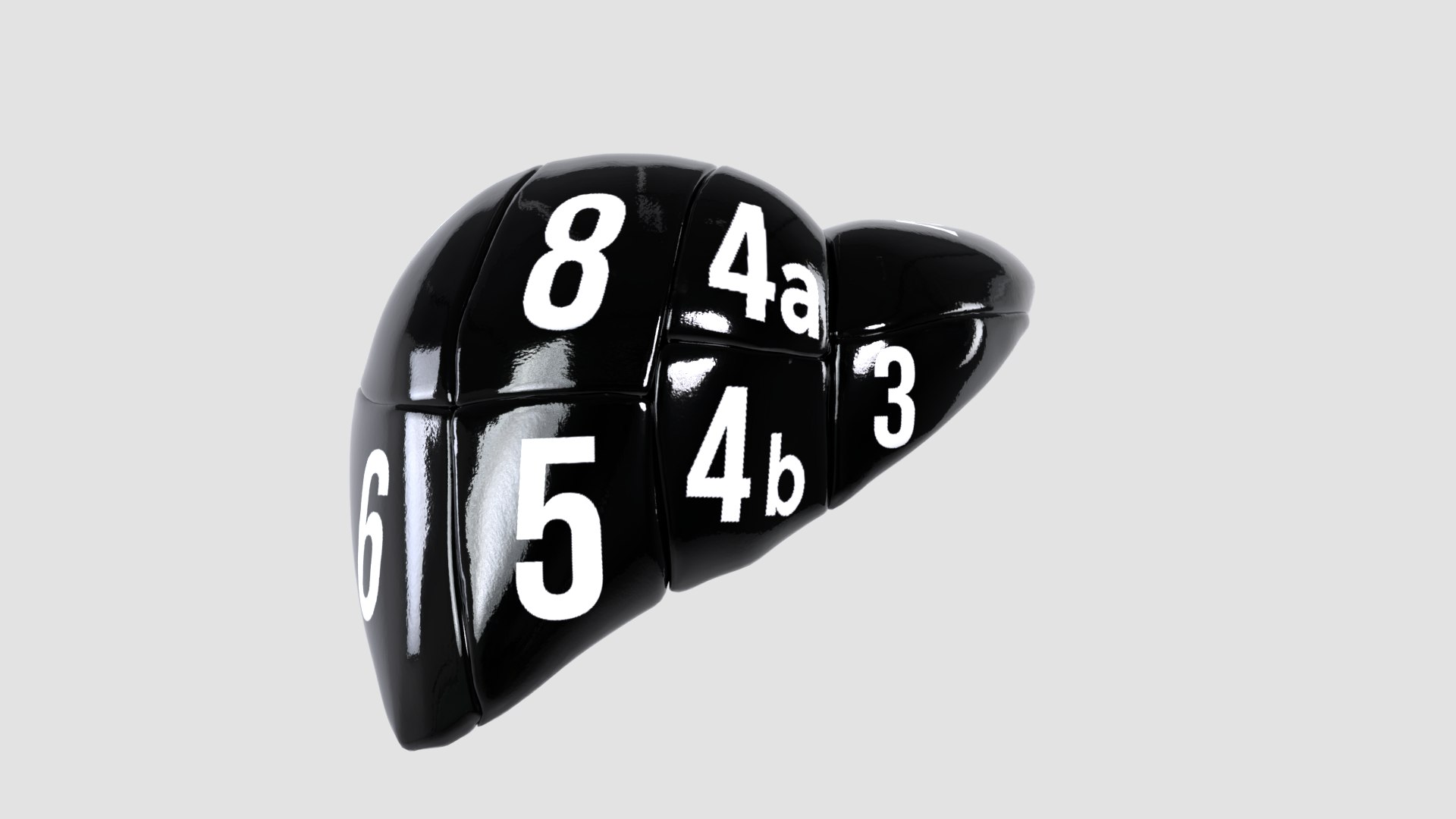 Human liver with segments 3D https://p.turbosquid.com/ts-thumb/JC/VneIdH/wB/9additionalsegmentsnumbers/png/1640374639/1920x1080/fit_q87/97bb96210d6f236c4aff124e286e392a9749513b/9additionalsegmentsnumbers.jpg