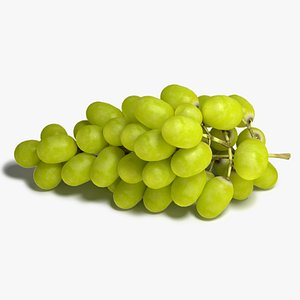 grapes 3d max