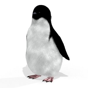 3D Penguin model