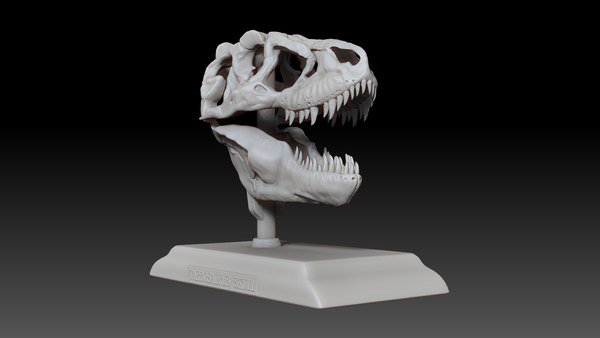 タルボサウルスの頭蓋骨の印刷可能なモデル3Dモデル - TurboSquid 1694992