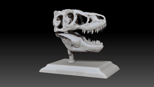 タルボサウルスの頭蓋骨の印刷可能なモデル3Dモデル - TurboSquid 1694992