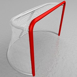 Hockey Goal & Net