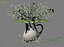 Convallaria majalis flowers in pitcher