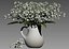 Convallaria majalis flowers in pitcher