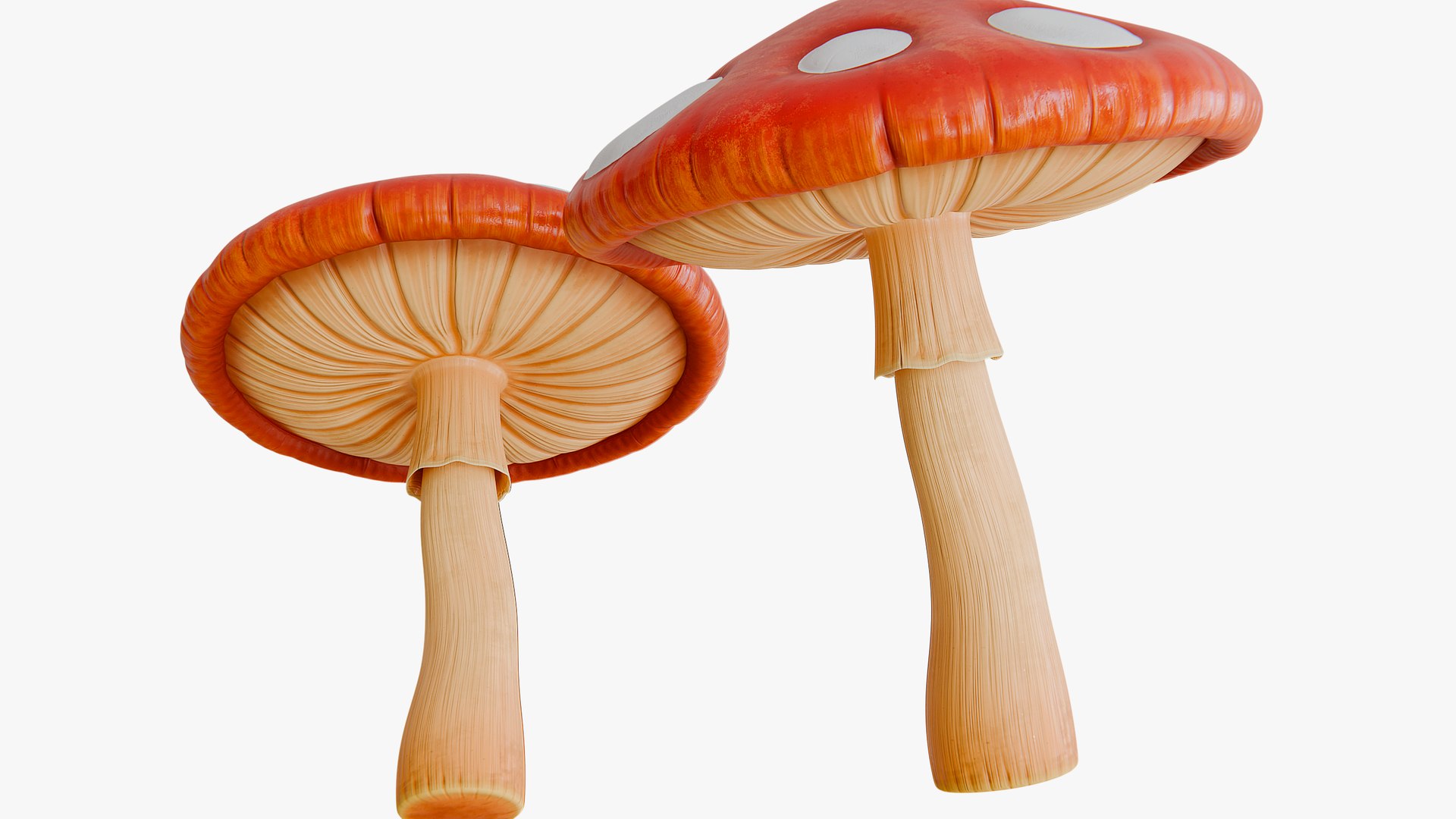 3D Mushroom Kingdom Mario Movie https://p.turbosquid.com/ts-thumb/JD/HaThtc/7E/render03/png/1759896608/1920x1080/fit_q87/dcd19b5b36b22ba84cb9a3b0cf9d69053b429699/render03.jpg