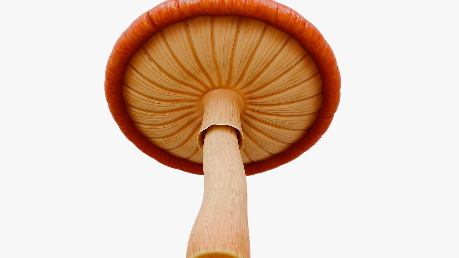 3D Mushroom Kingdom Mario Movie https://p.turbosquid.com/ts-thumb/JD/HaThtc/rx/render09/png/1759896612/1920x1080/fit_q87/3c7081a4c5205b1c4eec9ae085881bb586e9f403/render09.jpg