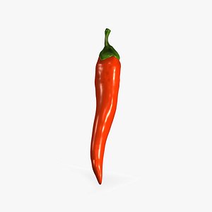 chili pepper 3D model