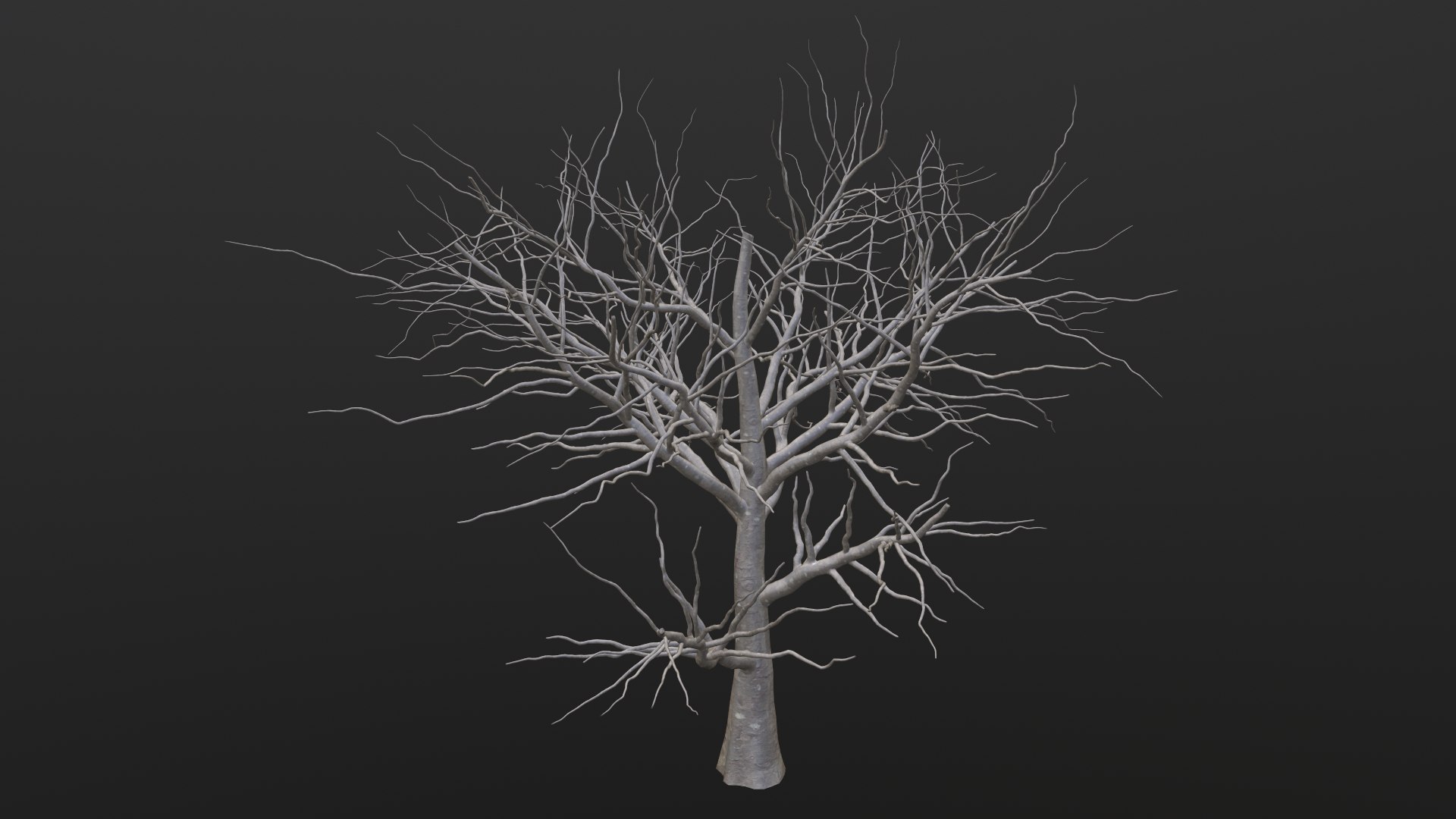 Dry Tree 3D https://p.turbosquid.com/ts-thumb/JD/N5Tg04/3E/1_00021/png/1659984883/1920x1080/fit_q87/6610ed5c26c25fda952c9274067798412f06657f/1_00021.jpg