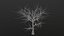 Dry Tree