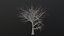 Dry Tree