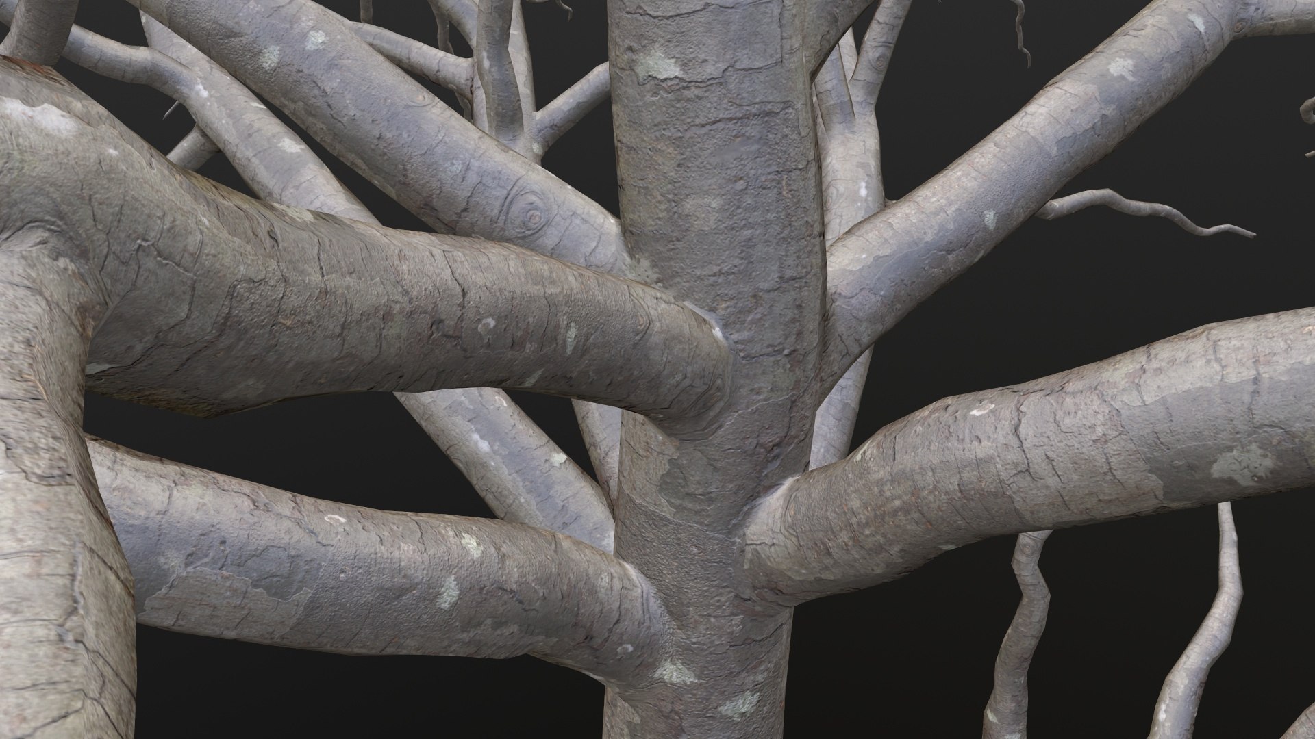 Dry Tree 3D https://p.turbosquid.com/ts-thumb/JD/N5Tg04/8P/dry1/jpg/1659984908/1920x1080/fit_q87/b5a368da1850e3d3db765523b2807a9d19b2ce39/dry1.jpg