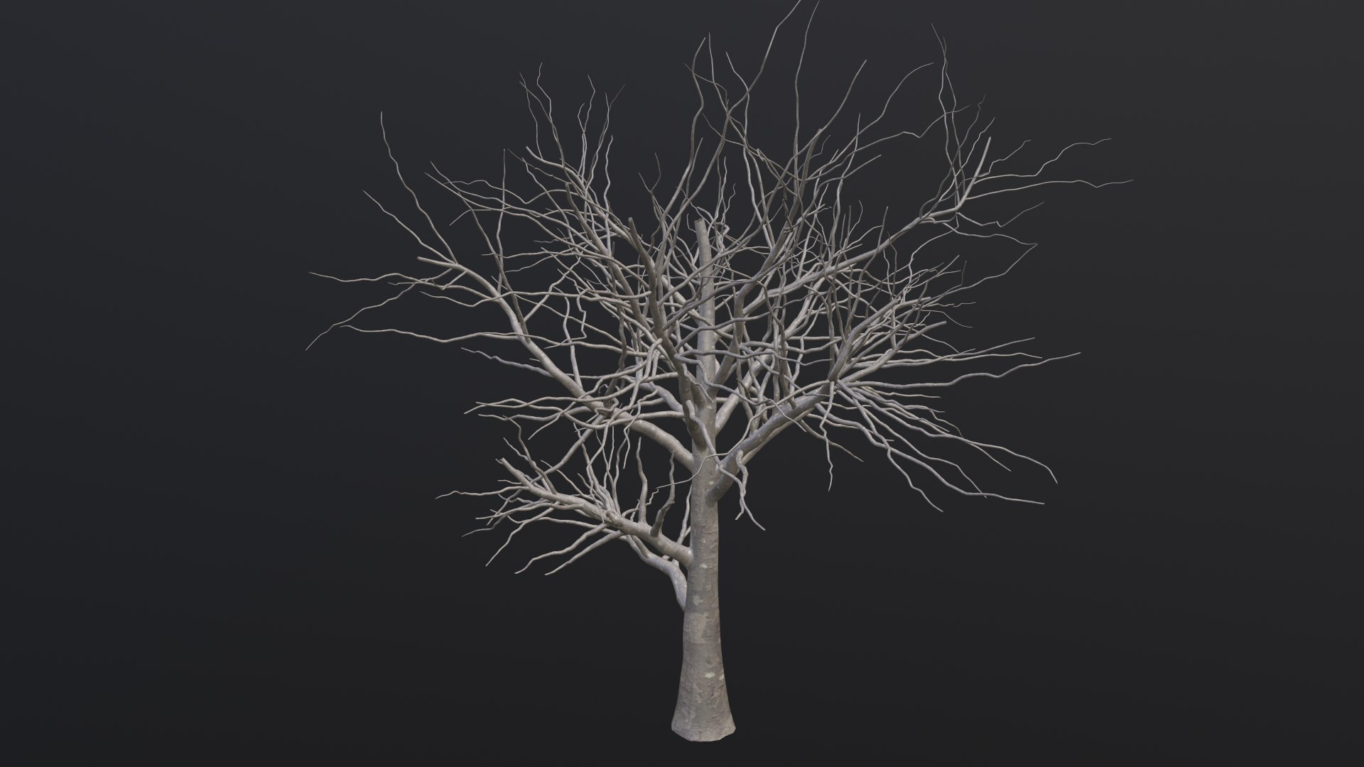 Dry Tree 3D https://p.turbosquid.com/ts-thumb/JD/N5Tg04/9k/1_00008/png/1659984874/1920x1080/fit_q87/c83247f53eb6c2721ced3aaa1c3de558036f7465/1_00008.jpg