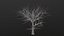 Dry Tree