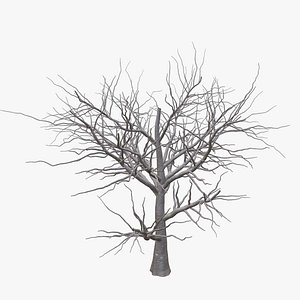 Dry Tree