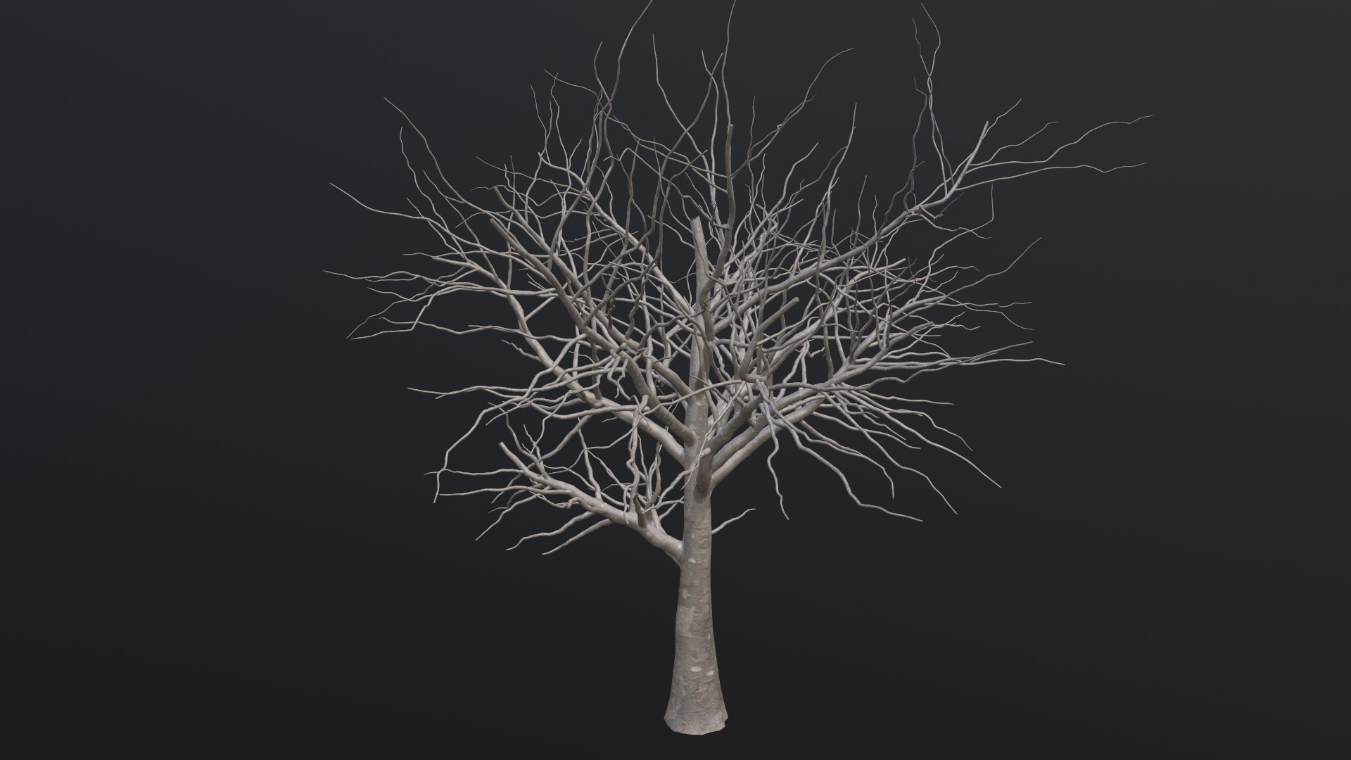 Dry Tree 3D https://p.turbosquid.com/ts-thumb/JD/N5Tg04/Ol/1_00009/png/1659984875/1920x1080/fit_q87/a6fa19204a1b7b47d4e0cbd026fdc1932cc17a71/1_00009.jpg