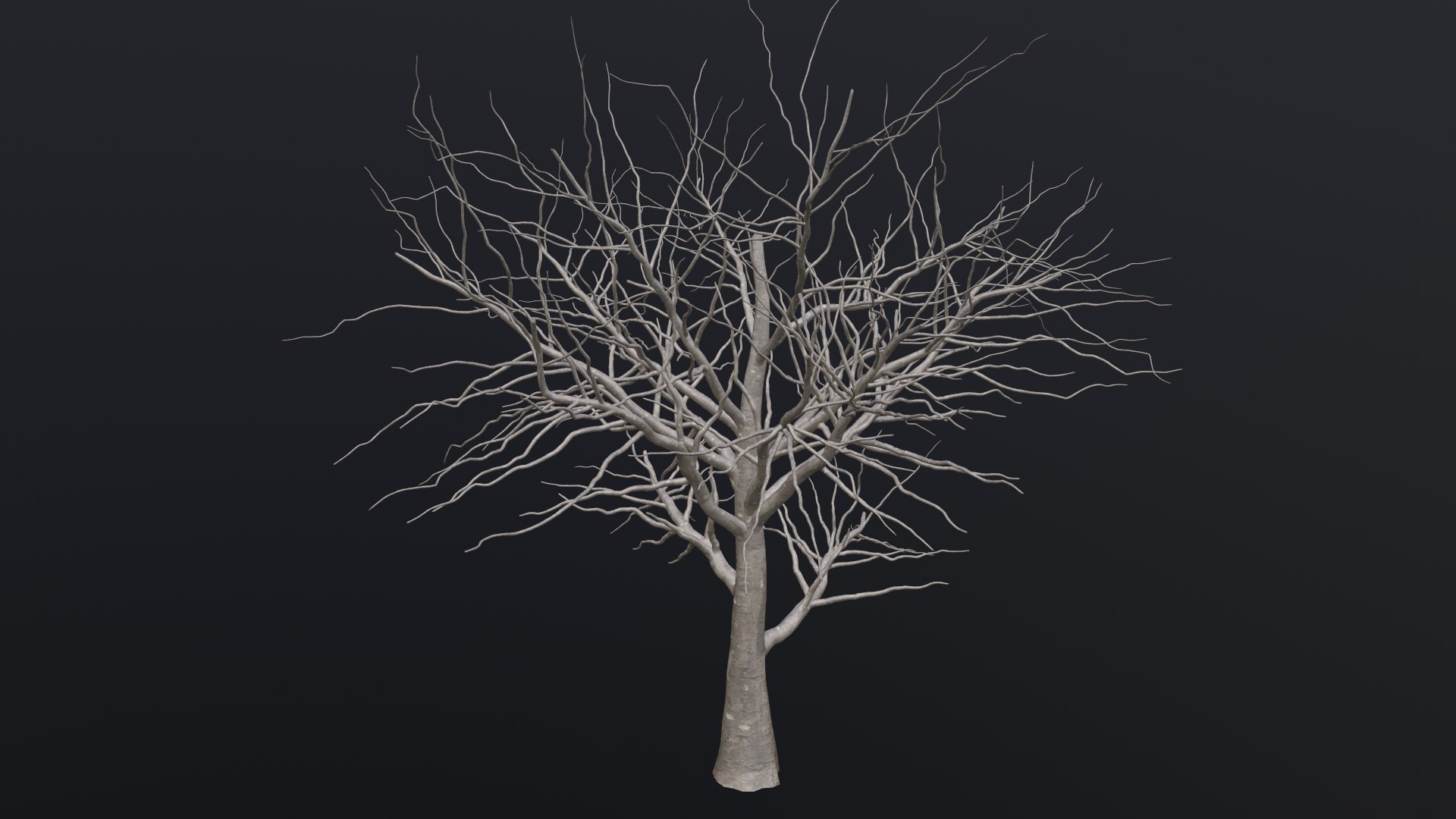 Dry Tree 3D https://p.turbosquid.com/ts-thumb/JD/N5Tg04/WJ/1_00012/png/1659984877/1920x1080/fit_q87/5ac0564e3959a893a82287f42c0fe5b4f60c3104/1_00012.jpg
