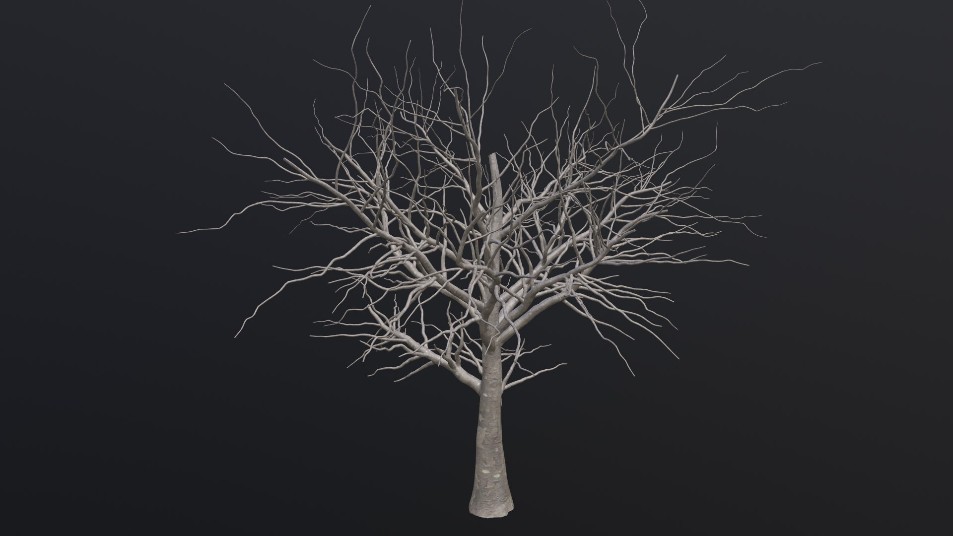Dry Tree 3D https://p.turbosquid.com/ts-thumb/JD/N5Tg04/iJ/1_00010/png/1659984876/1920x1080/fit_q87/6ba921c86847b4a0f3f667c37a4bfec29df33f71/1_00010.jpg