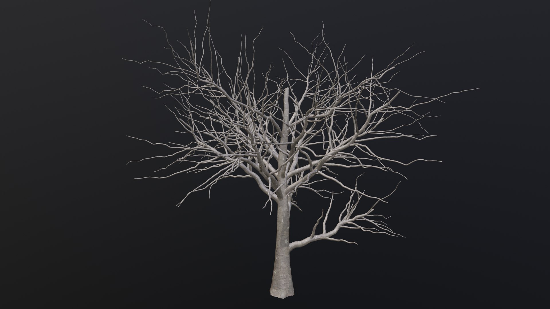 Dry Tree 3D https://p.turbosquid.com/ts-thumb/JD/N5Tg04/sC/1_00015/png/1659984879/1920x1080/fit_q87/5c5a93ecb222f72b238824145102d711ec803479/1_00015.jpg