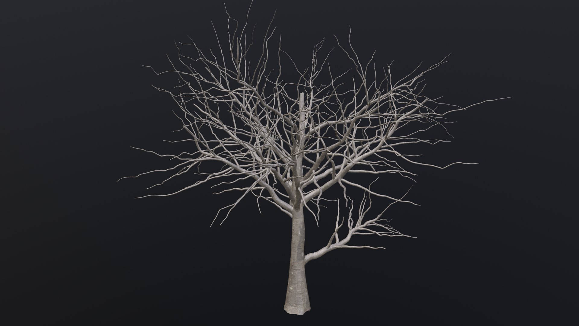 Dry Tree 3D https://p.turbosquid.com/ts-thumb/JD/N5Tg04/x9/1_00014/png/1659984878/1920x1080/fit_q87/267afd7bfd0f1fc948d01000eae8a0ab7fd463ab/1_00014.jpg
