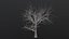 Dry Tree
