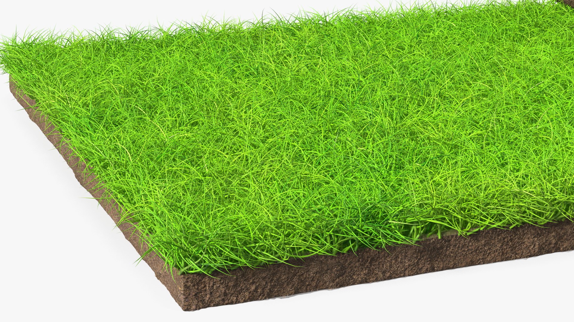 3d Lawn Turf Roll Fur Model - Turbosquid 1882218