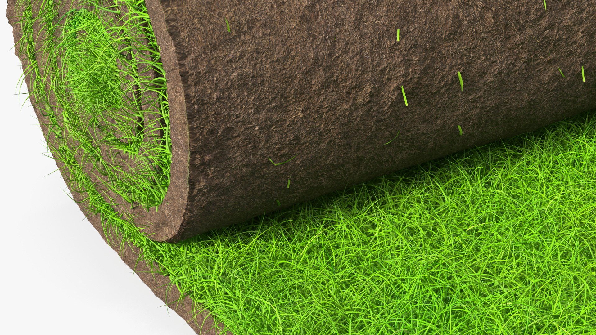 3D Lawn Turf Roll Fur model - TurboSquid 1882218