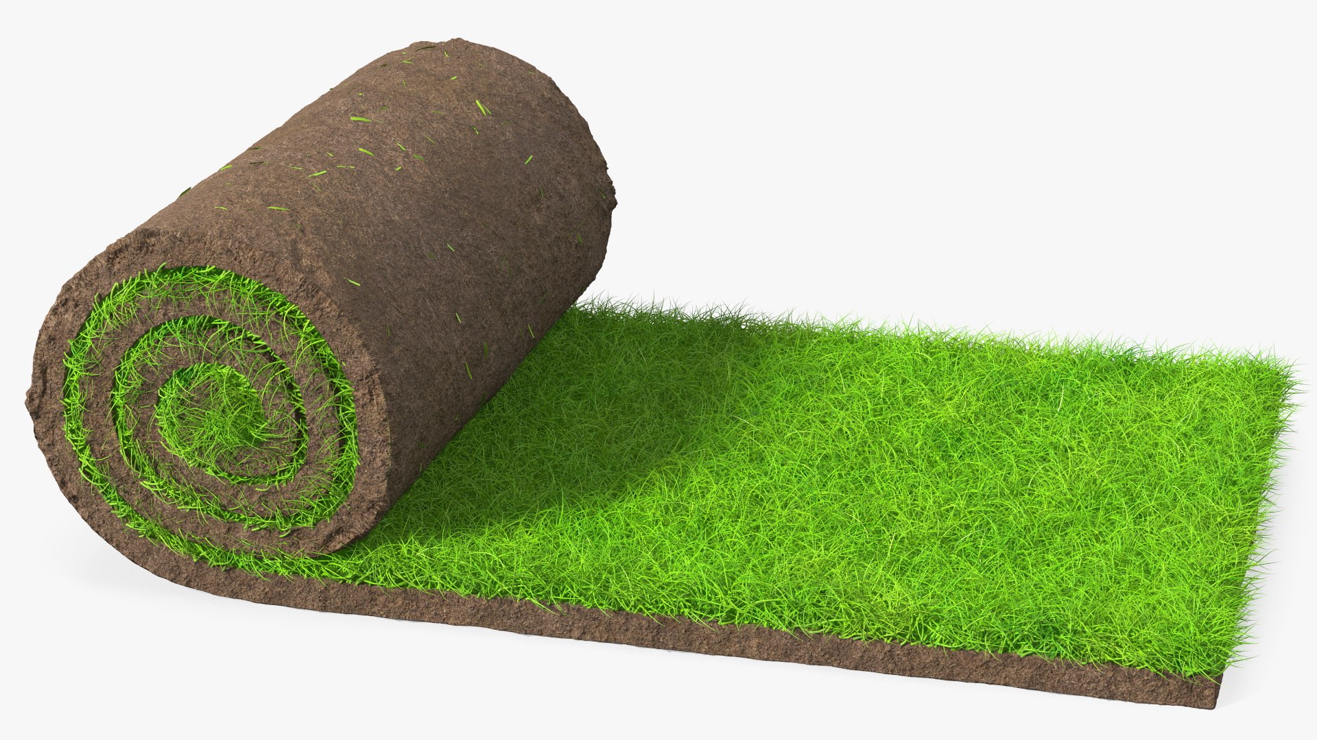 3D Lawn Turf Roll Fur model - TurboSquid 1882218