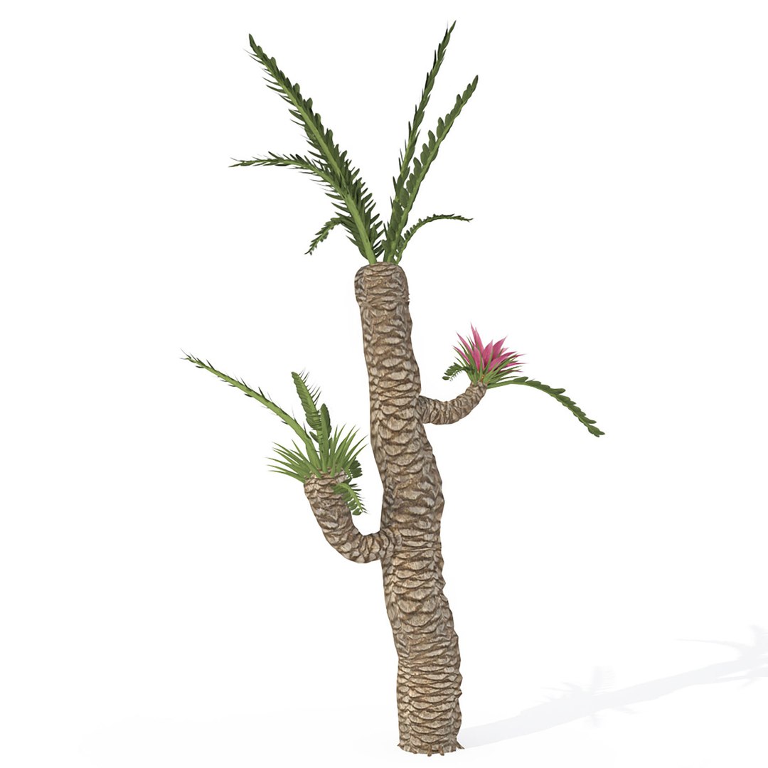3ds max prehistoric trees plants dvd https://p.turbosquid.com/ts-thumb/JD/RgNvr2/HA/z3/jpg/1611857580/1920x1080/fit_q87/120ede550698d6fb302a0310aed561b1f5a9cead/z3.jpg