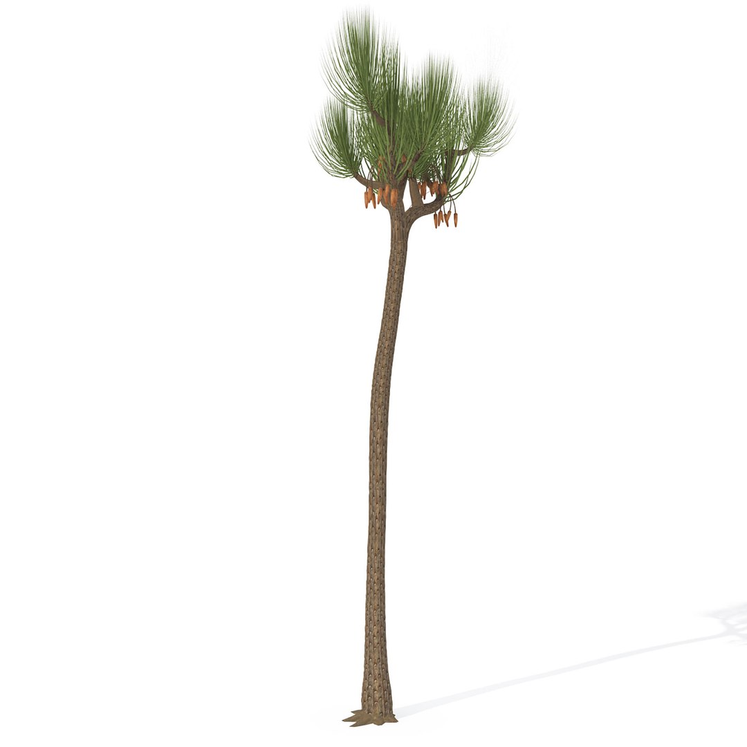 3ds max prehistoric trees plants dvd https://p.turbosquid.com/ts-thumb/JD/RgNvr2/Zz/z2/jpg/1611857581/1920x1080/fit_q87/1a2f33b3eb2d51e0af74b865badf433ac88e9b01/z2.jpg