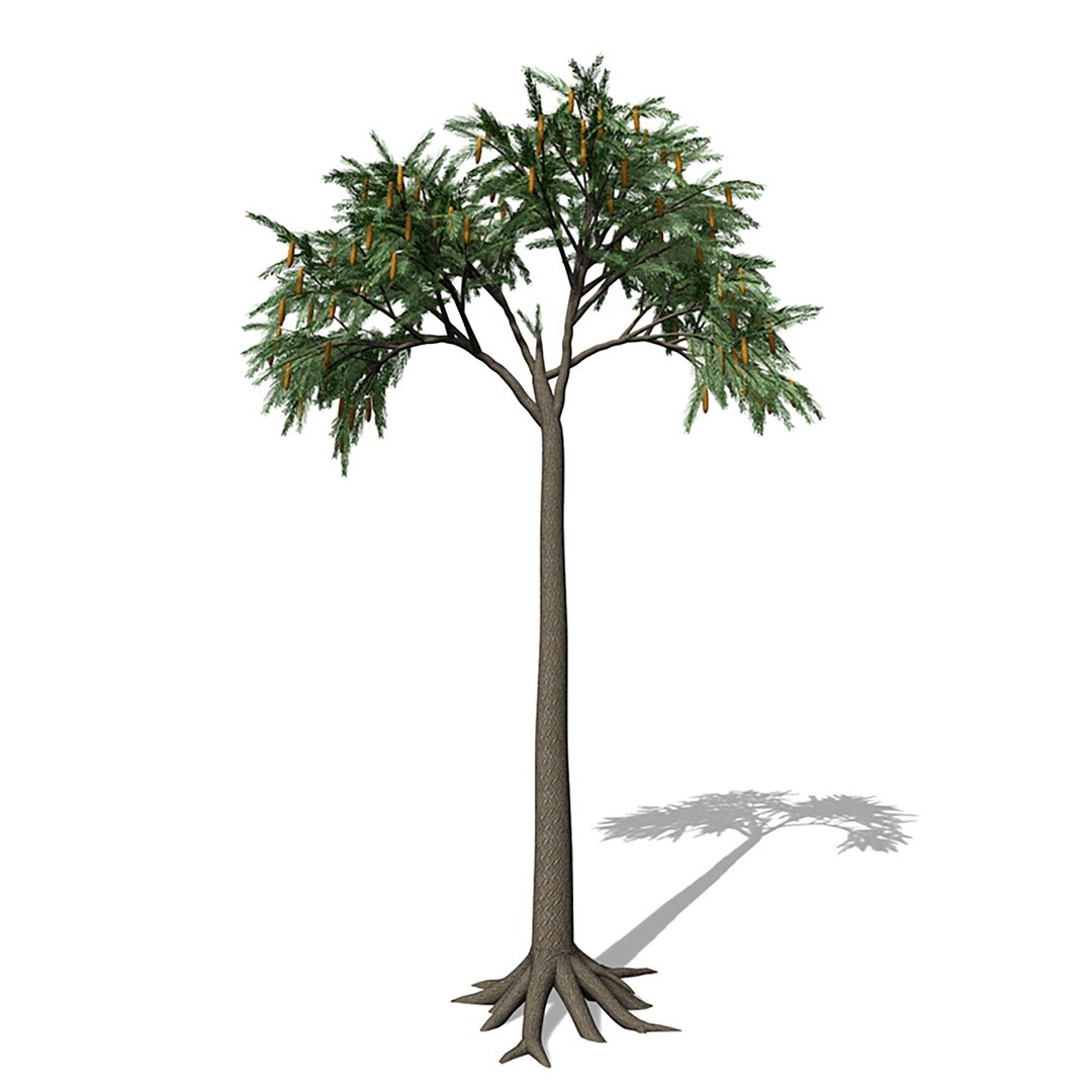 3ds max prehistoric trees plants dvd https://p.turbosquid.com/ts-thumb/JD/RgNvr2/aM/dhq1/jpg/1611857580/1920x1080/fit_q87/703707fc02cc94717a2a1485b84e95da495c7342/dhq1.jpg