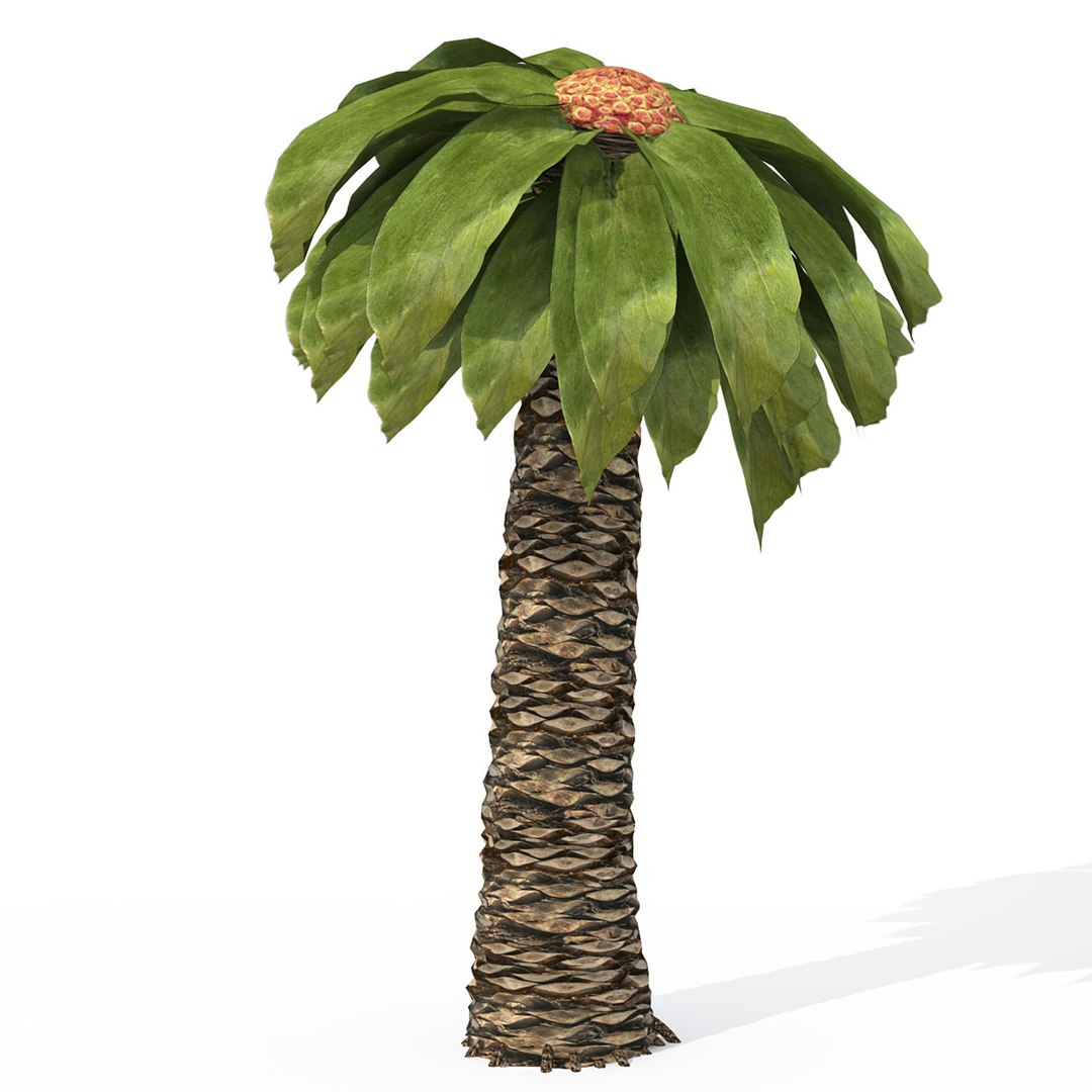 3ds max prehistoric trees plants dvd https://p.turbosquid.com/ts-thumb/JD/RgNvr2/zl/z1/jpg/1611857581/1920x1080/fit_q87/a66ed0c6b886a9afb5b328663ab7464b531f4487/z1.jpg