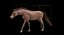 3D horse blender walk