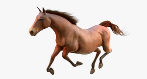 Horse Animated