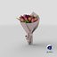Tulips Bouquet 02