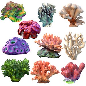 3D Coral reef collection 11-20 model