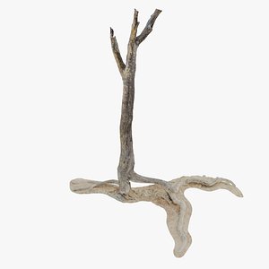 Namibian Dry Tree 04 - Scan 3D