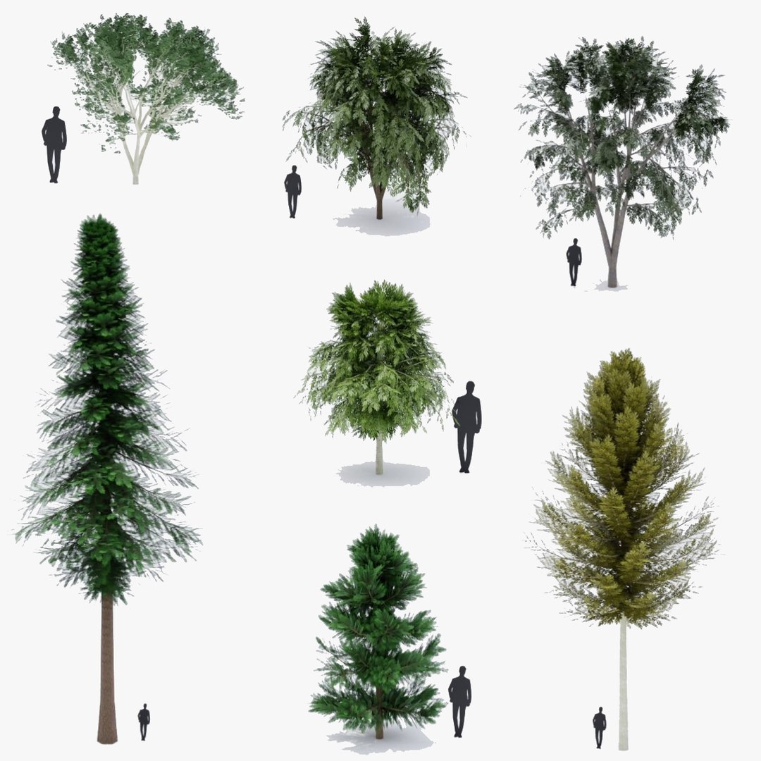 3d Low Poly Trees Pack Model Turbosquid 1949710