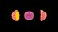 ovule