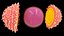ovule