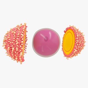 ovum