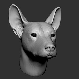 dog head base mesh 3D