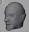 basic male character head 3d model