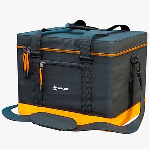 Food Delivery Cooler Bag PBR