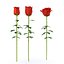 Rose piece