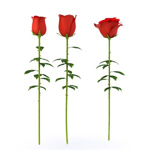 realistic roses 3d model