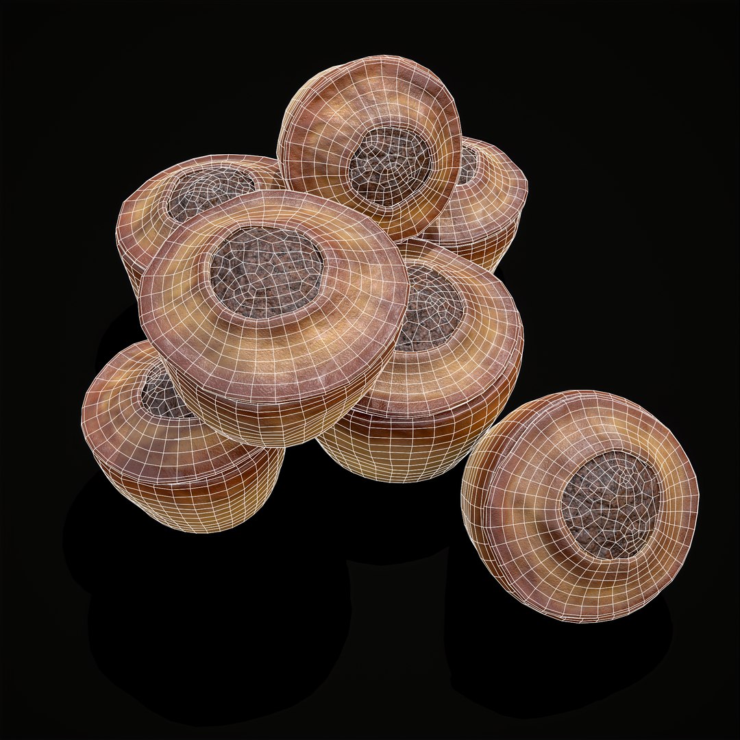 Classic Medieval Mince Meat Pies 3D model https://p.turbosquid.com/ts-thumb/JE/y8ThMp/IY/20/png/1660141760/1920x1080/fit_q87/274f63e03b2d557f73203045bc43a7d148ae098d/20.jpg