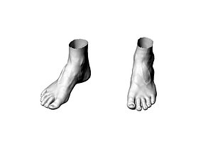 3D foot9 model
