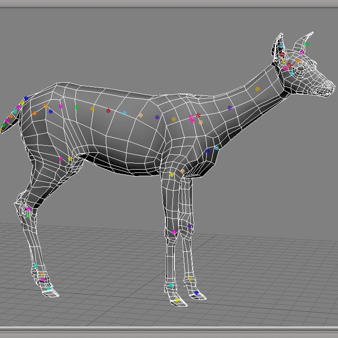 3d model of photorealistic deer animation https://p.turbosquid.com/ts-thumb/JF/4KcdOW/5L7sLdLv/w4/jpg/1311528097/1920x1080/fit_q87/73d3ed35e6d988803ead9a74cc5c51601acb3270/w4.jpg