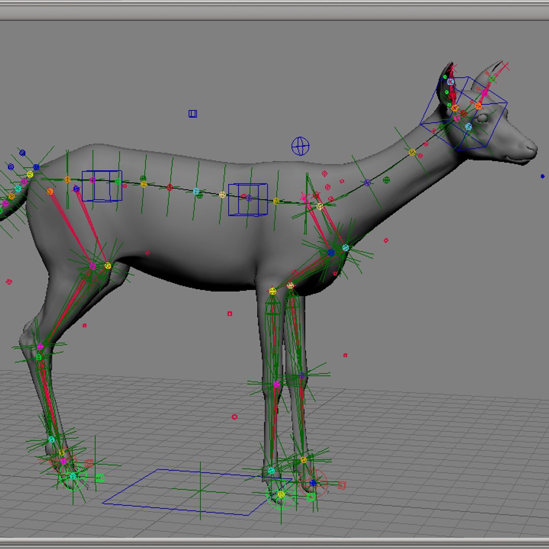 3d model of photorealistic deer animation https://p.turbosquid.com/ts-thumb/JF/4KcdOW/zdDJ3ogQ/w6/jpg/1311528097/1920x1080/fit_q87/de4d00899524fe510faf51273686ba5e3fec388a/w6.jpg